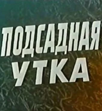 Постер Подсадная утка 1974