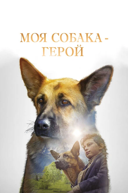 Постер Моя собака — герой 2018