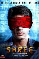 Шри 2013 постер
