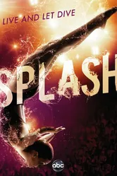 Splash 2013 постер