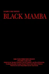 Черная Мамба 2011 постер