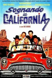 Сновидение в Калифорнии 1992 постер