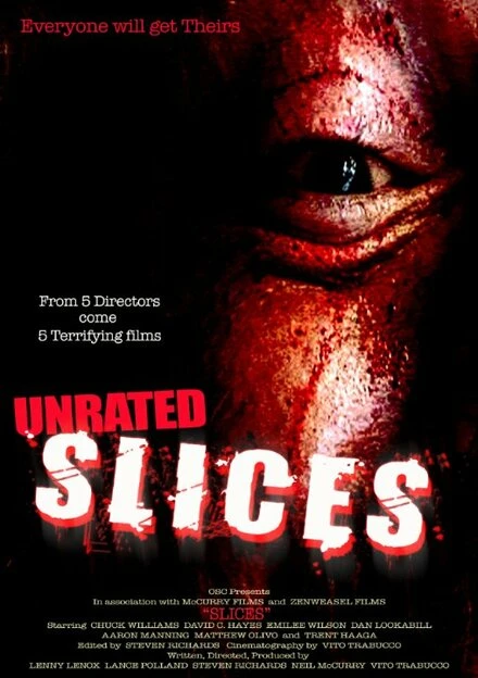 Постер Slices 2008