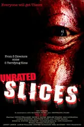Slices 2008 постер