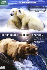 BBC: Величайшие явления природы 2009 постер