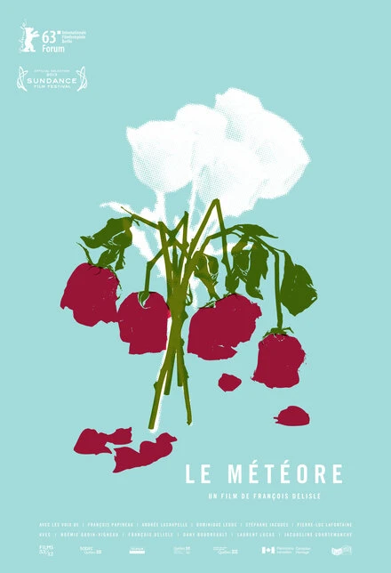 Постер Метеор 2013