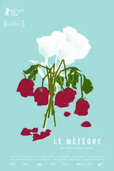 Метеор 2013 постер