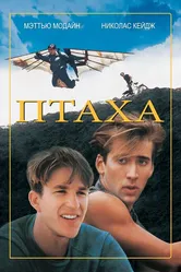 Птаха 1984 постер