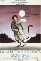 Ночью все кошки серы 1977 постер