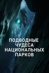 Подводные чудеса национальных парков 2016 постер