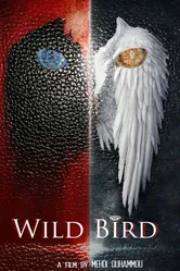 Wild Bird постер