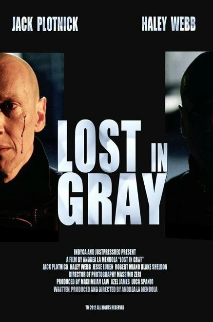 Постер Lost in Gray