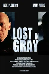 Lost in Gray постер