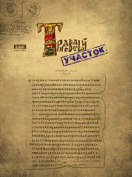 Постер Тридевятый участок 2009