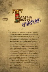 Тридевятый участок 2009 постер