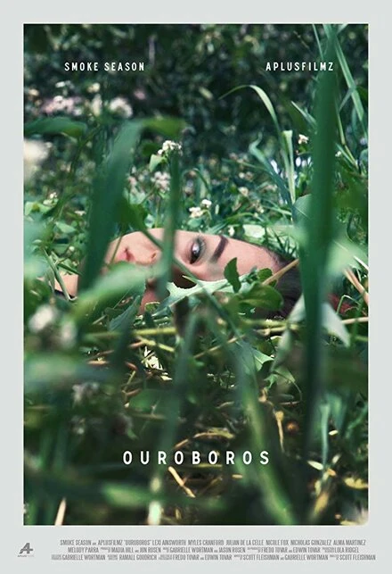 Постер Ouroboros 2015