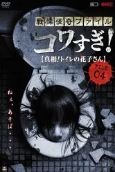 Ужасающие материалы, файл 4: Туалетная Ханако 2013 постер