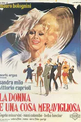 Женщина — это нечто прекрасное 1964 постер