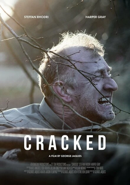Постер Cracked 2021