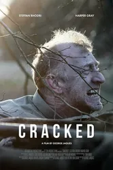 Cracked 2021 постер
