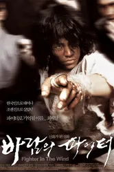 Воин ветра 2004 постер