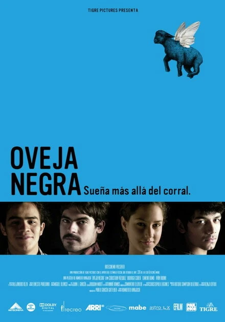 Постер Черная овца 2009