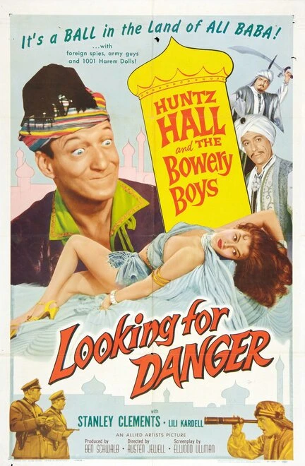 Постер Looking for Danger