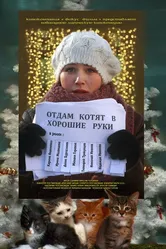 Отдам котят в хорошие руки 2012 постер