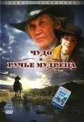 Постер Чудо в Ручье мудреца 2005