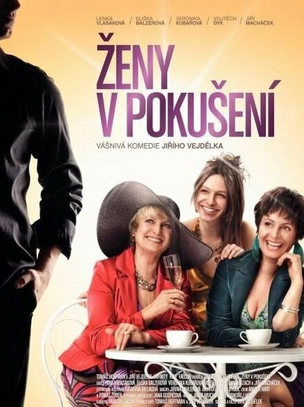 Постер Женщины в соблазне 2010