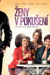 Женщины в соблазне 2010 постер