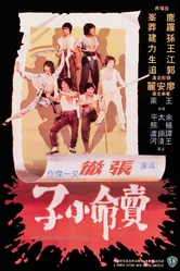 Великолепные головорезы 1979 постер
