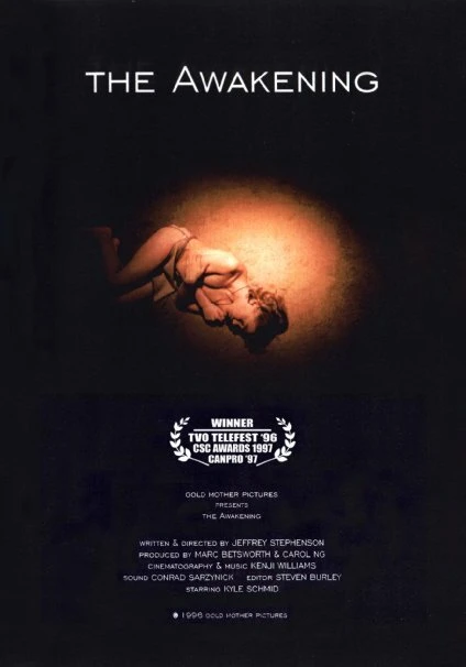 Постер The Awakening 1996