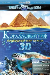 Коралловый риф 3D: Подводный мир Египта 2012 постер
