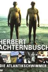 Атлантические пловцы 1976 постер