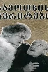 Райские птички 1997 постер