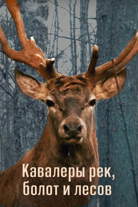 Постер Кавалеры рек, болот и лесов 2012