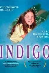 Индиго 2003 постер