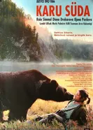 Сердце медведицы 2001 постер