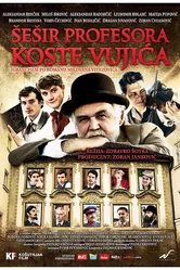 Шляпа профессора Вуйича 2012 постер