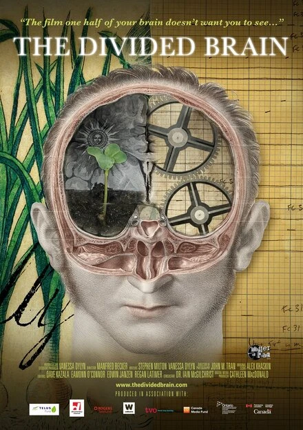 Постер The Divided Brain