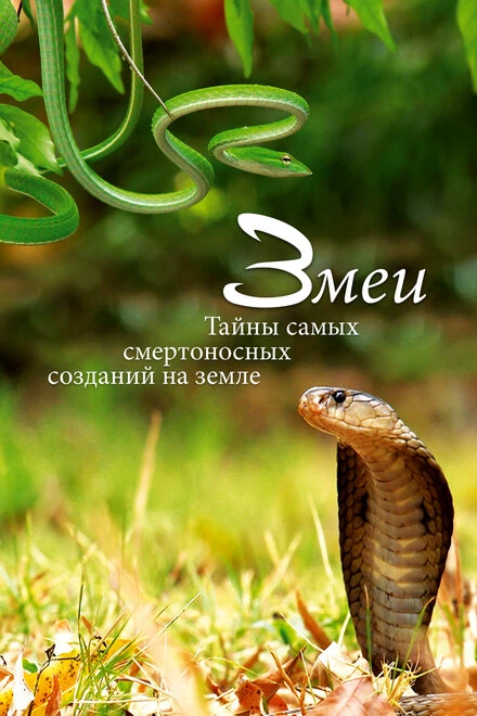 Постер Змеи. Тайны самых смертоносных созданий на земле 2014