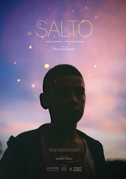 Постер Salto