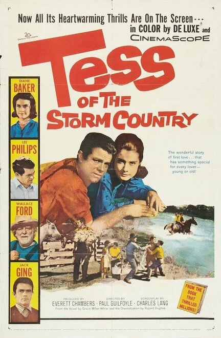 Постер Tess of the Storm Country 1960
