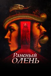 Раненый олень 2022 постер