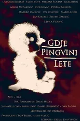 Gdje pingvini lete постер