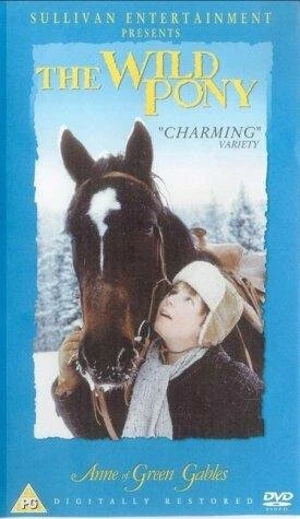 Постер The Wild Pony
