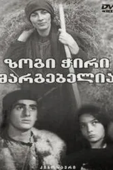 Полуночная бабочка 1984 постер
