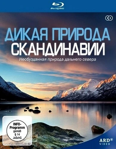 Постер Дикая природа Скандинавии 2011
