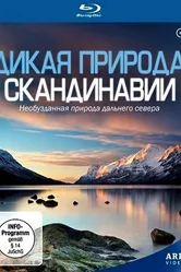 Дикая природа Скандинавии 2011 постер